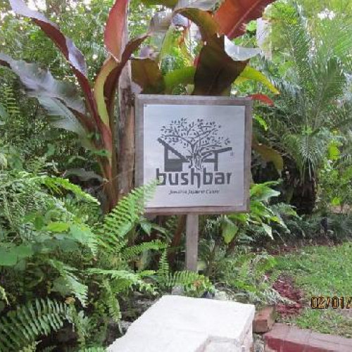 Bushbar